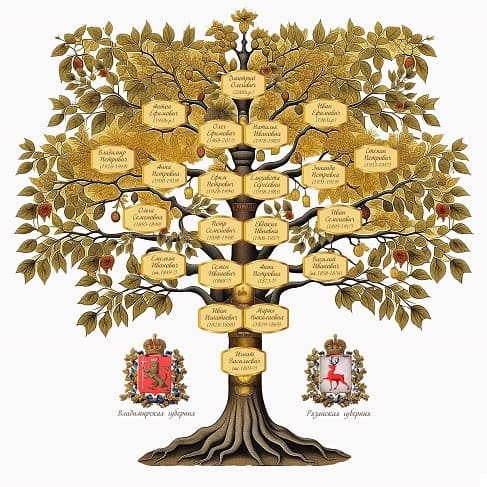 Illustrated genealogical family tree with branches and historical coats of arms